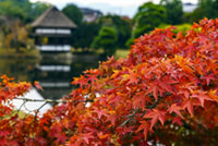 衆楽園（旧津山藩別邸庭園）の写真