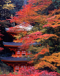 岩船寺の写真