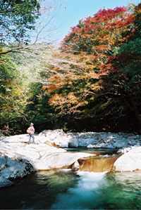尾鈴山瀑布群の写真