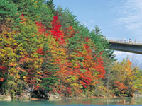 松川渓谷（森の大橋）の写真