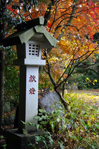 五所駒瀧神社の写真