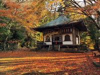 金蔵寺の写真