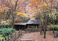 七沢森林公園の写真