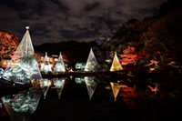 文京区立肥後細川庭園で夜の日本庭園を楽しむ。秋の紅葉ライトアップ～ひごあかり～2018開催