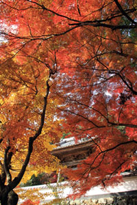 円興寺の写真