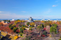 浜松城公園の写真