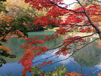蔵王中央高原・蔵王温泉の写真