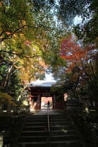 神峯山寺の写真