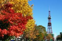 大通公園の紅葉