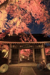 平出山 宝蔵寺の写真