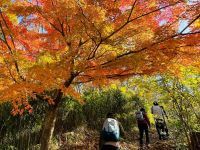 生駒山の写真