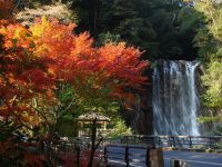 霧島温泉郷（丸尾）の写真