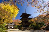 前山寺の写真