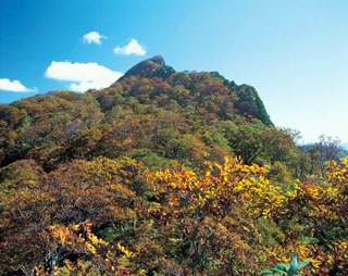 冠山の紅葉写真１