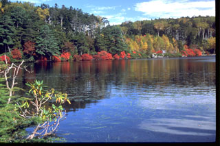 麦草峠と白駒池の紅葉の写真３