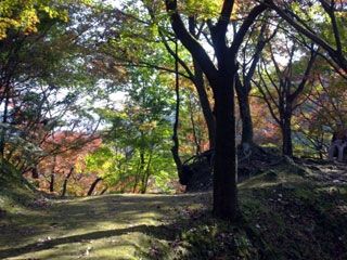 長野公園の紅葉の写真３