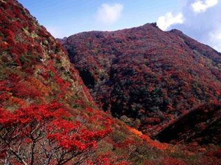 雲仙岳の紅葉写真１