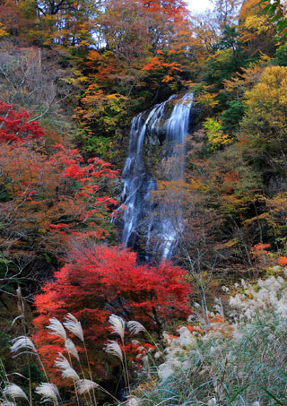 白滝の紅葉写真１