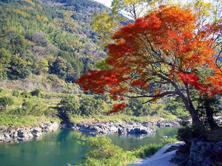 球磨川の紅葉写真１