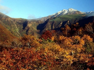 鳥海山の紅葉 紅葉情報21