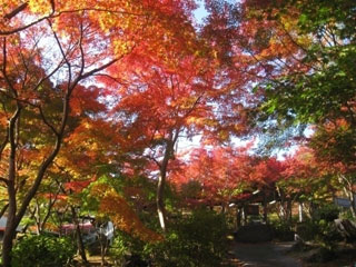 筑波山の紅葉写真２