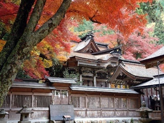 大矢田神社もみじ谷の紅葉の写真３
