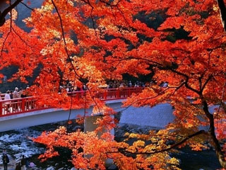 香嵐渓の紅葉の写真３