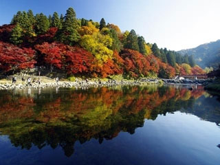 香嵐渓の紅葉の写真４