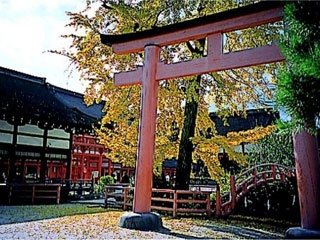 下鴨神社の紅葉写真１