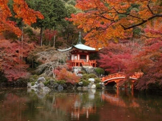 醍醐寺の紅葉写真１
