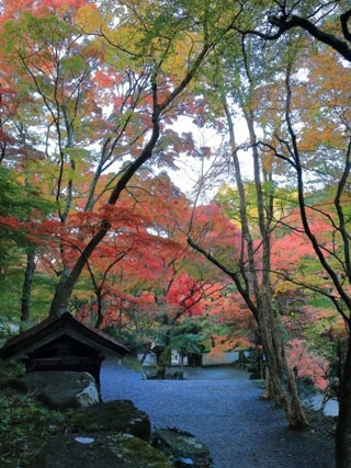 大威徳寺の紅葉 紅葉情報21