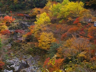 安居渓谷の紅葉写真１