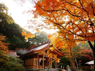 宝満宮竈門神社の紅葉 紅葉情報21