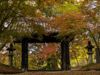 秋月城跡の紅葉 紅葉情報21