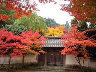 呑山観音寺の紅葉の写真４
