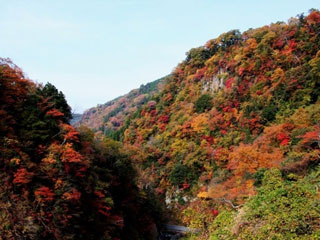 九酔渓の紅葉の写真３