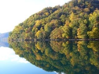 屈斜路湖畔の紅葉の写真４