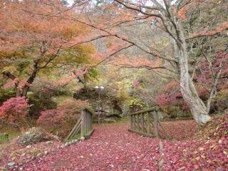 きみまち阪県立自然公園の紅葉写真２