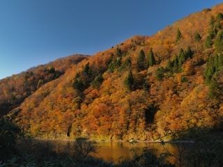 最上峡の紅葉の写真３