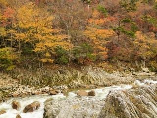 夏井川渓谷の紅葉写真２