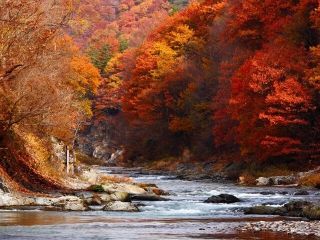 吹割の滝の紅葉の写真３