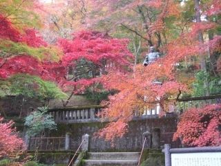 秩父御嶽神社 東郷公園の紅葉の写真３