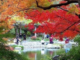 成田山新勝寺の紅葉写真１