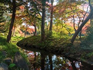 小石川後楽園の紅葉の写真４