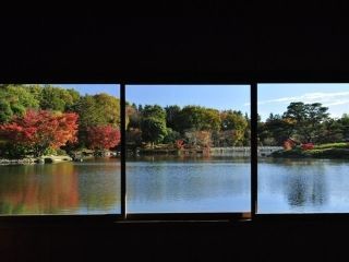 国営昭和記念公園の紅葉の写真４
