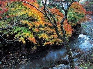 秋川渓谷の紅葉写真１