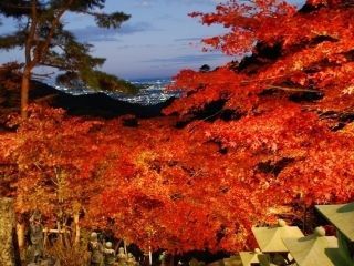 大山寺の紅葉写真１