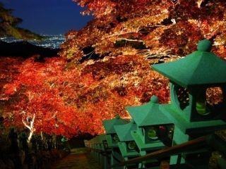 大山寺の紅葉の写真３