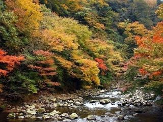 箱根湯本の紅葉写真１