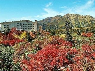 立山室堂平の紅葉の写真３